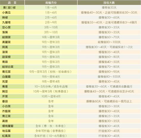 種什麼|種菜時間表指南：掌握蔬果播種季節，打造四季菜園